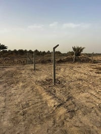 الحقانية • دونم كامل • واجهة ٧٧م