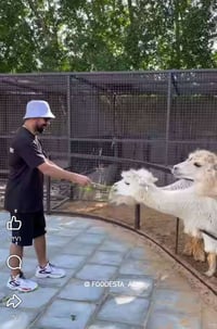 كل عام وانتم بالف خير حملتنا يوم الاربعاء إلى مدينة الكاظمية المقدسة  ...