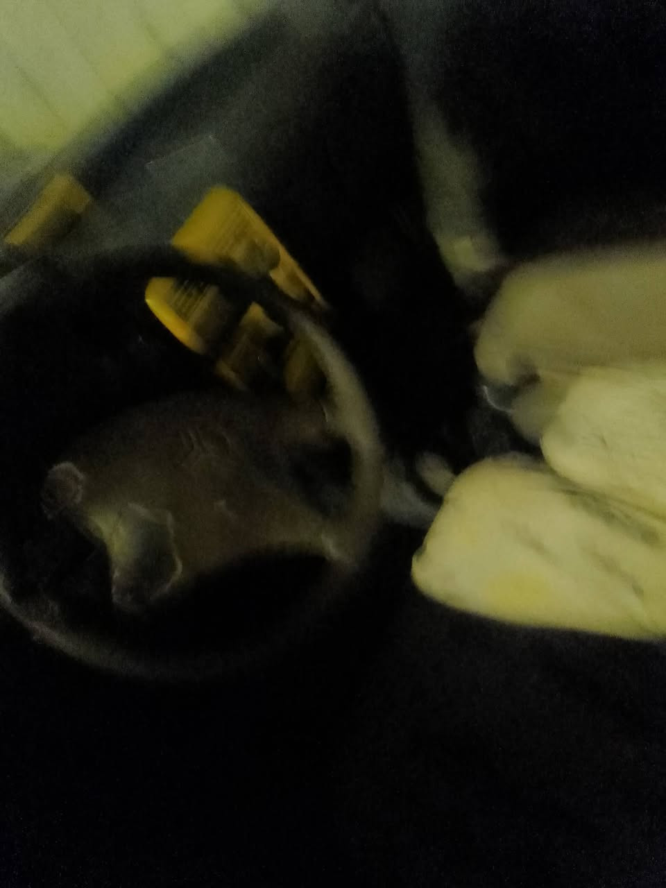 سايبه للبيع موديل 2011سنويه ل 2024السعر 7وبيها مجال سنويه عضم بيع مراوس بيها مجال قليل حك الجيه مستعجل عله بيها الاتصال عله الرقم ***********
