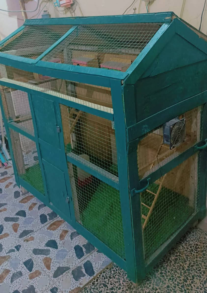 السلام عليكم ورحمة الله وبركاته قفص طيور للبيع جديد رايدي 75 وبي مجال الاستفسار على رقم واتساب ***********📲
