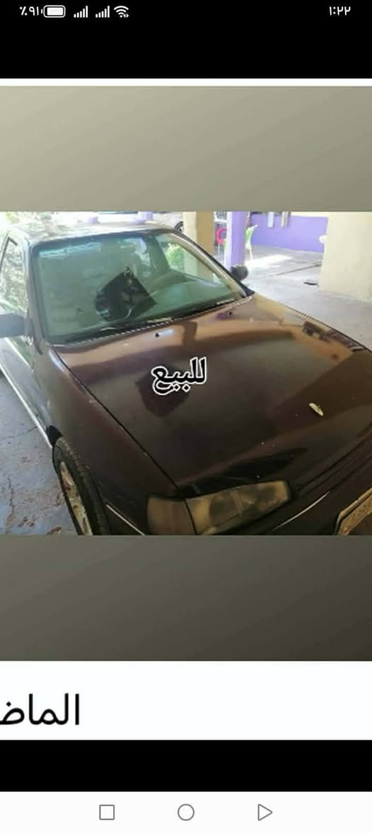 اسلام عليكم للبيع النتره مصطره93سعرها 25وبيها مجال اذا شراي دلل سيارة جاهزة كير مكينة خير من الله السيارة بسمي السيارة مكاني ديالى بعقوبه كنعان تصل وتدلل ***********
