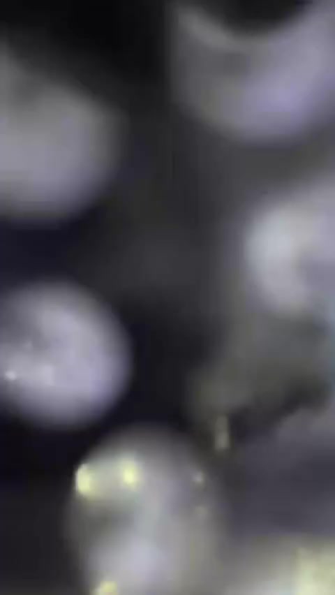 تخفيضات سعر القطعه 30


**إذا كنت صاحب هذا الإعلان وتريد حذفه لأي سبب، رجاءا أرسل رسالة إلى الدعم الفني**