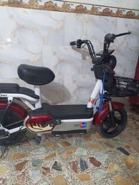 دراجة شحن • فول نظافة • الحسينية الراشدية