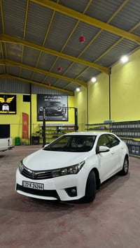 كورلا خليجي • ٢٠١٥ • رقم شمالي اربيل