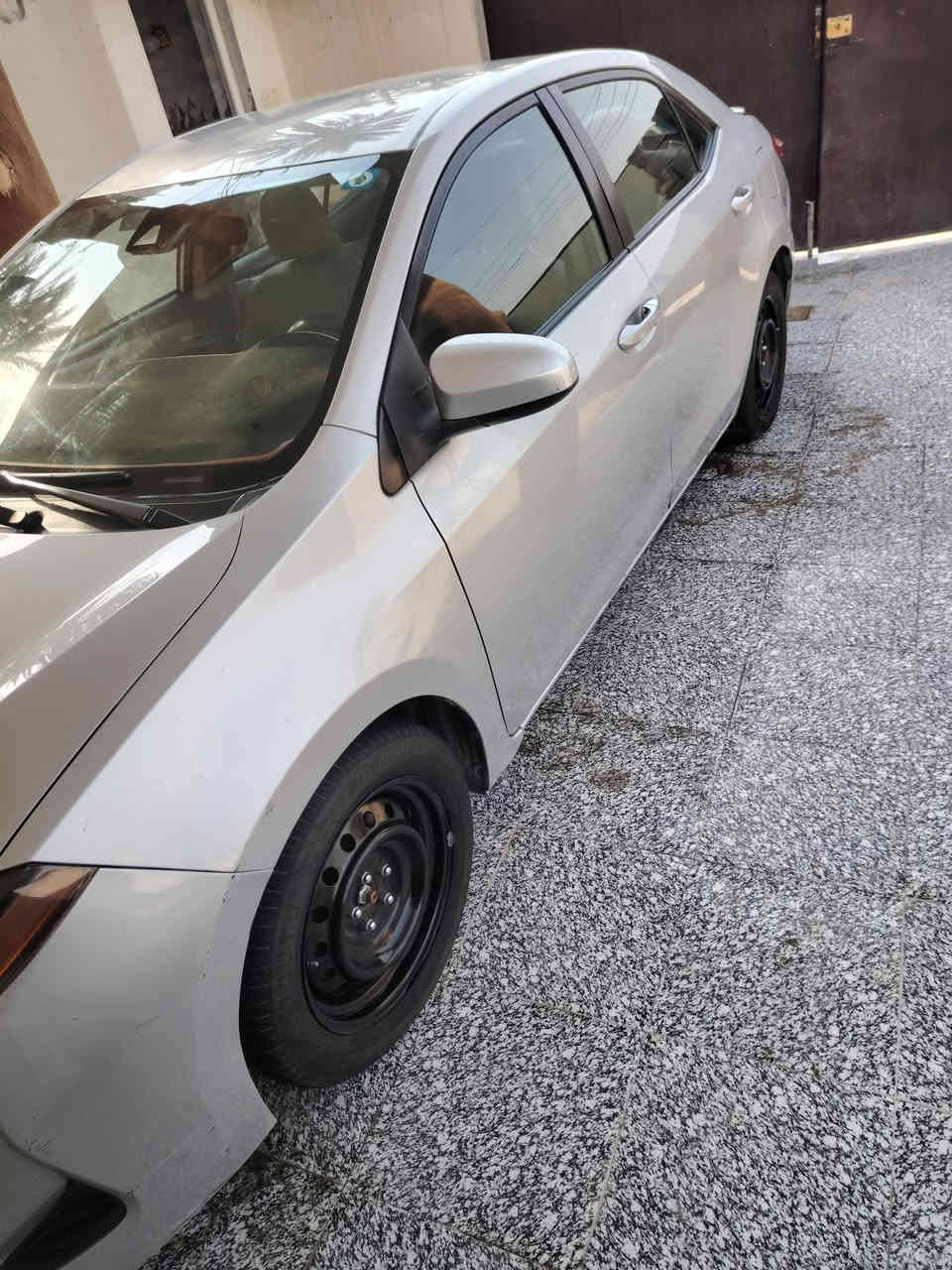 السلام عليكم 
كورله موديل ١٩
داخل الونين رادار حجر صلنصه
الضرر جامرلغ خلفي
صور الضرر والسونار داخل المنشور
السعر ١٣٦وبيهه مجال 
رقم ***********
