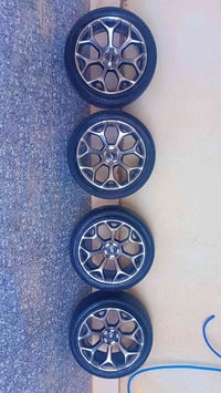 ابو العنكبوت • اصلي • جديد