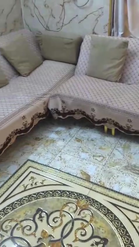 ديوان 10 مقاعد بسعر مناسب العنوان الثعالبه شارع البانزين خانه


**إذا كنت صاحب هذا الإعلان وتريد حذفه لأي سبب، رجاءا أرسل رسالة إلى الدعم الفني**