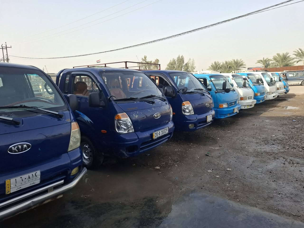 معرض بني سعد ***********ابو حيدر
