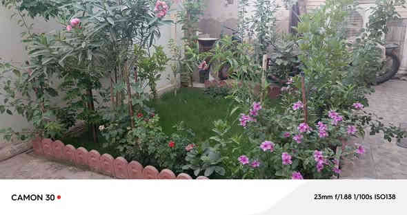 دار للبيع ٢٠٠ متر
طابقين
٤ غرف نوم (غرفتين جوه و غرفتين فوك) 
صحيات ٣ ( واحد خارجي و ٢ داخلي واحد فوك و واحد جوه) 
مطبخ حار و بارد مع  كاونتر خشب حديث ( مثل ما موجود بالصور
مخزن 
سطحين 
حديقه 

السعر 375 و بي مجال 

للاستفسار الاتصال على الارقام التاليه ( يوجد واتس اب) 
***********
***********

العنوان : 
بابل / حله / بكرلي / قرب قسم الصحه العامه
