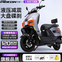 فلاينج بيجون Z6 • ٢٢٠٠ واط • ١٢٠ كم