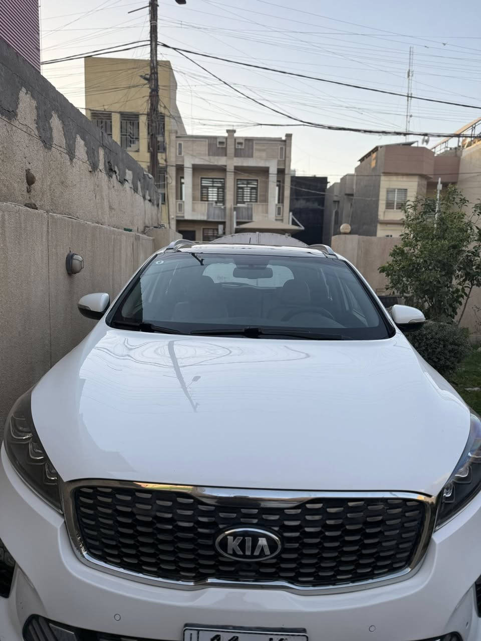 السلام عليكم
عندي كيا سورنتو ٢٠١٨ خليجي رقم بغداد بسمي محرك ٦ سلندر
 بلادي كير 8 نمر جديد ٧ راكب بدون صبغ فول مواصفات1/1 بصمة ابواب وبصمة تشغيل فتحة سقف بنراما كراسي كهرباء كشنات جلد ٣ قطع تبريد منفصل ومناخ لايت ٣ عدسات زنون بلادي اشارة لكزز طويلة تحمات ستيرن كروز سرعة اوضاع قيادة ٣ 
لدات خلفية وامامية نهاريةشاشة جبيرة ابل كار بلي
 بردات خلفية بلادية جنطة كهرباء خمسة ويل كب بلادي
السيارة بيها شخط باب خلفي عكس السايق مكحل 
وبيها بارد بالباب الخلفي وتكحيل كارت بتكمة اليمين رقم وسنوية جديدة رايدها ب٢١٥ وبيها مجال 
مكاني بغداد / حي الجامعة / ***********

