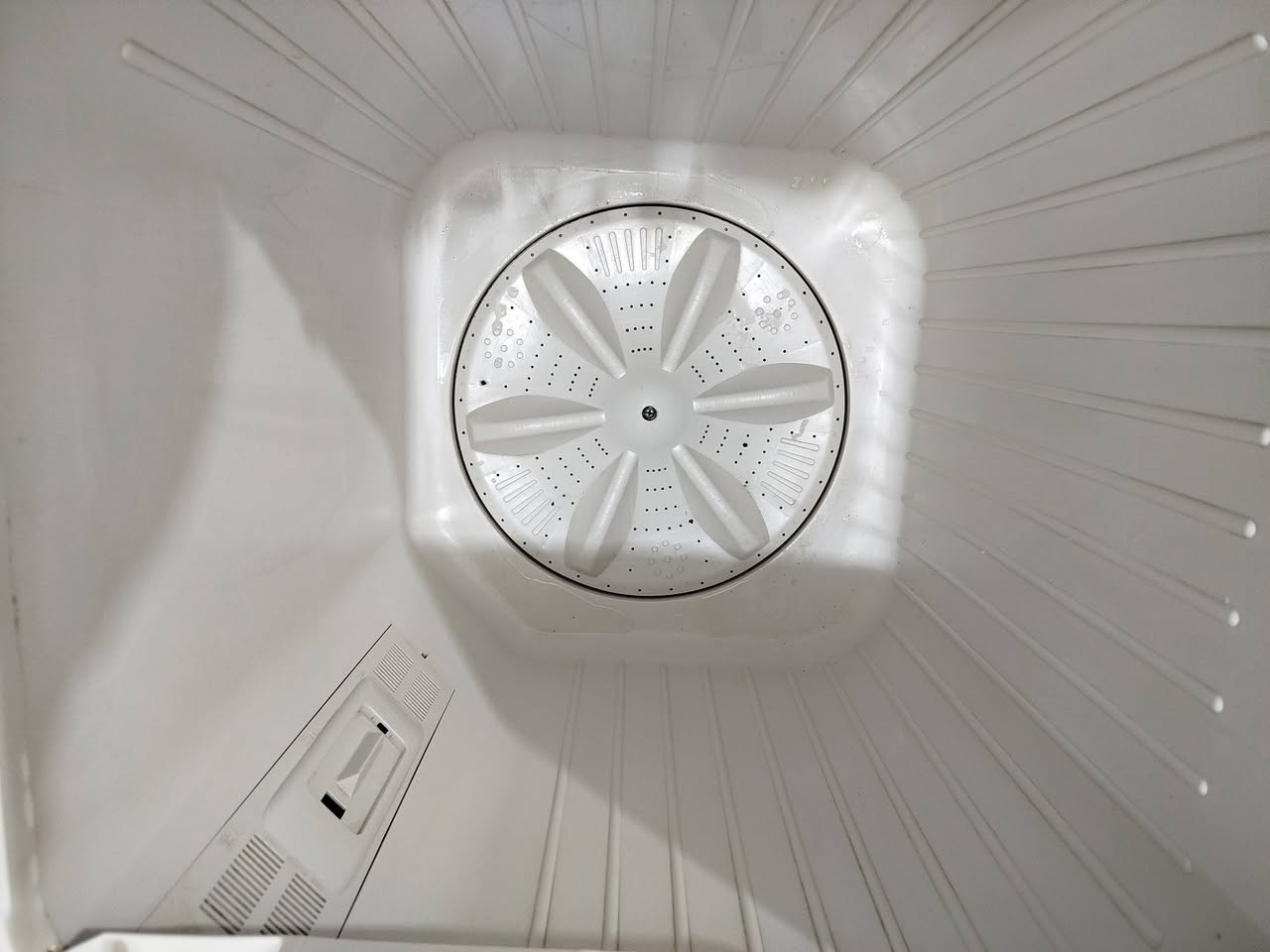 للبيع نوع فريش حجم كبير جاهزه غسل وتنشيف باب الغسل مبدل 
سعر 100 مكاني كربلاء حي العامل *********** واتساب وماسنجر موجود ***********
