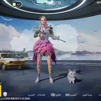 حساب ببجي • مستوى ٧٤ • اغلب النوادر