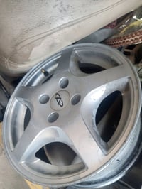 ويل كب للبيع او امراوس بويل اسود مكاني بالاعظمية بالسفينة 07711472696=...