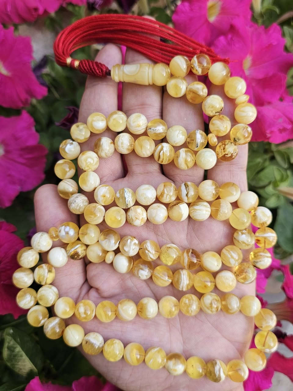 كهرب كلنگرادي حر طبيعي فرز ( كهرب أهل الدار)  ألكويت مشروط مكفول👑 گيمر بعسل مطوگ ملط
كهرب كلنگرادي حر طبيعي فرز ( كهرب أهل الدار)  ألكويت مشروط مكفول👑 گيمر بعسل مطوگ ملطخ 👑🥛
ألوزن ٦٨ غرام ٩٩خرزة بحجم ١٠،٥ ملم خشنة طويلة كشخة وتحفة ملطخة مطوگة محمول راقي وكركوشة كويتي👑 
ألسعر  جملة الجملة تصفية و عرض شهر رمضان الكريم ألسعر  ٣٧٥ ألف دينار قفل تسوة ضعف هالسعر 🥛🍯🌙

توصيل مجاني لكل العراق🥛🍯***********
