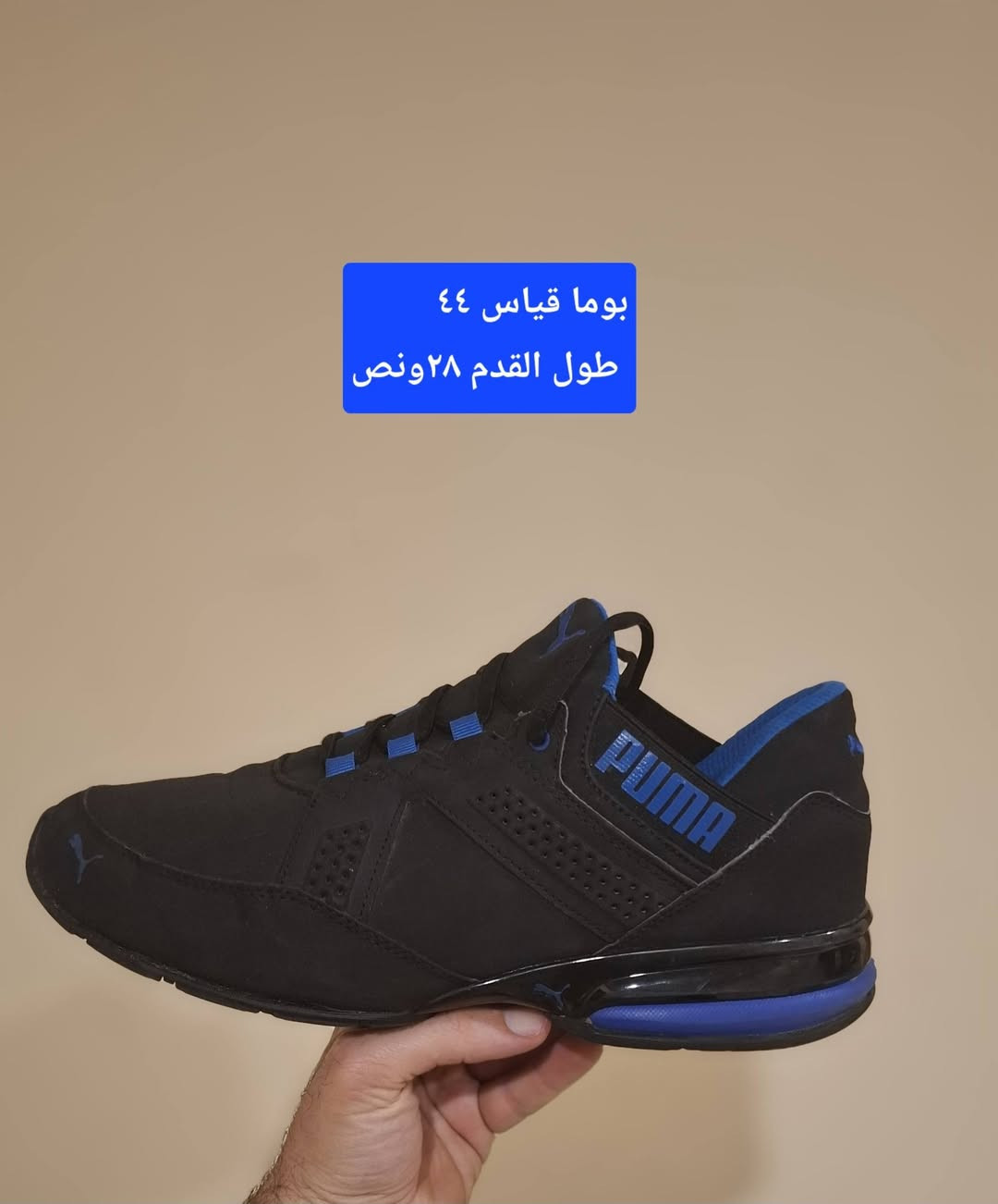 🔥 وصل الجديد... أحذية أوربية فخمة وبأعلى جودة 🔥

إذا تبحث عن الراحة 👌 والأناقة ✨ والسعر المناسب 💯فأنت بالمكان الصح 👟

نوفر لكم تشكيلة مميزة من الأحذية الأوروبية الراقية🔹 ماركات عالمية أصلية🔹 أحذية رياضية خفيفة🔹 أحذية طبية مريحة للمشي اليومي🔹 خامات نظيفة وفخمة جداً

🎯 موديلات عصرية تناسب جميع الأذواق🚚 توصيل سريع إلى جميع محافظات العراق

📲 للحجز والاستفسار عبر الواتساب:☎️ ***********☎️ ***********

⏳ الكمية محدودة وبعض الموديلات تنفد بسرعةسارع بالحجز قبل النفاد 🔥👟
