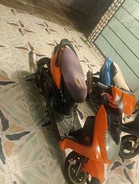 سكنس فحل • ٦٣ • شغاله