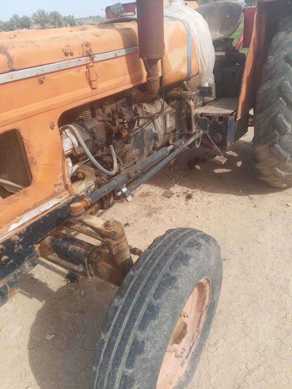 ‏‪***********‬‏
