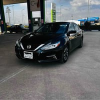 التيما • ٢٠١٧ • اربيل