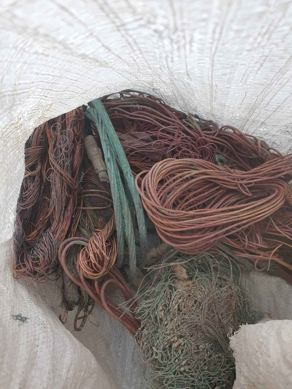 البيع سعر الكيلو ١٥ قفل بغداد المحموديه  بيهن ١٠ كيلو اكثر


**إذا كنت صاحب هذا الإعلان وتريد حذفه لأي سبب، رجاءا أرسل رسالة إلى الدعم الفني**
