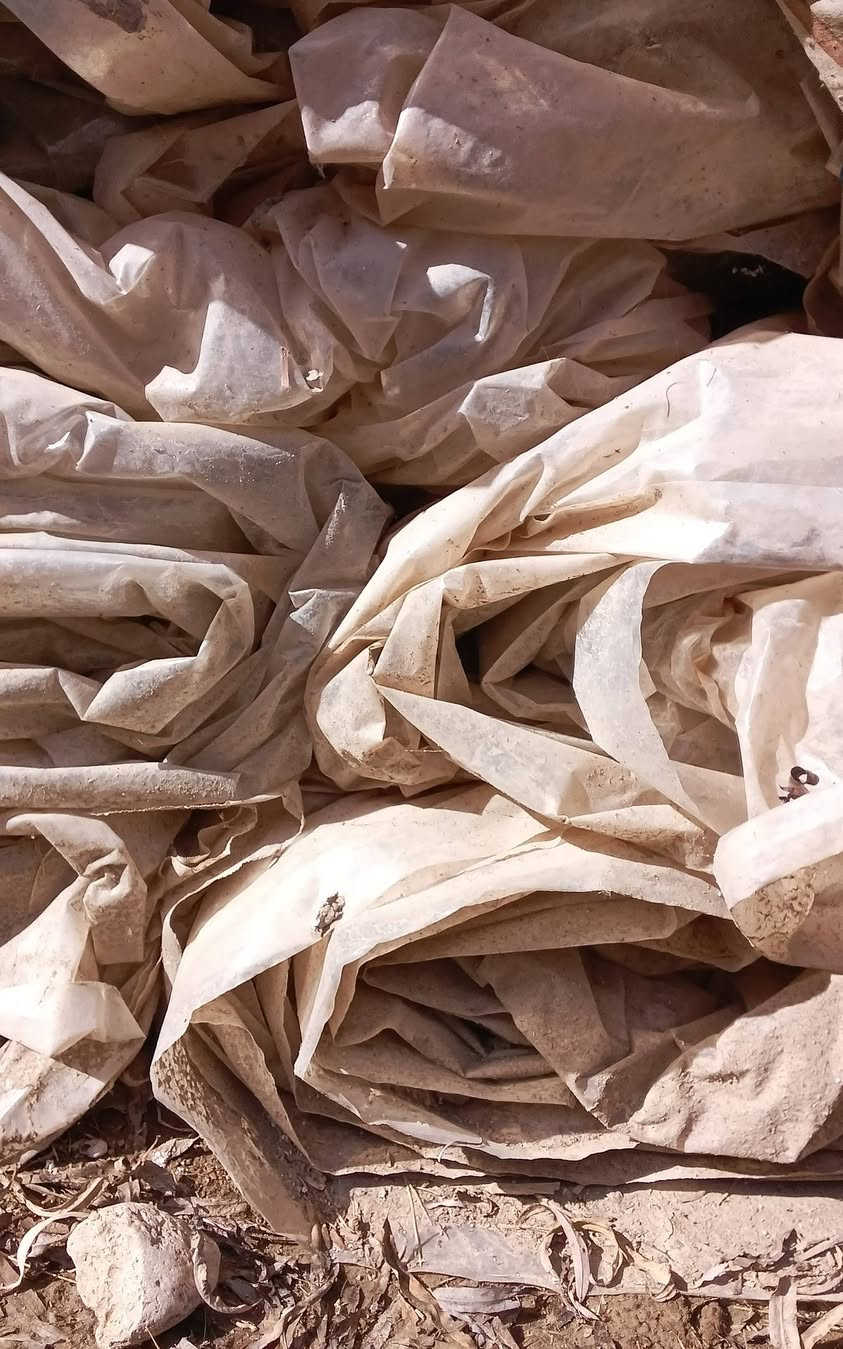 🚜🌱 إلى الفلاحين العراقيين 🌱🚜
السلام عليكم ورحمة الله وبركاته 
متوفر عدنه نايلون زراعي للبيوت البلاستيكية الصغيرة
جودة عالية ✔️
يتحمّل الحر والبرد ✔️
يحافظ على المحصول ويزيد الإنتاج ✔️
إذا تريد تعبك ما يضيع
وتريد محصول يبيض الوجه 💪
هذا الحل المناسب إلك
مستخدم شهر واحد فقط بعده جديد 
نوع نايلون درجه اولى 

📍 العنوان:
واسط – الصويرة – قرية جويميسة الغربية
📞 للاتصال:
***********
***********
