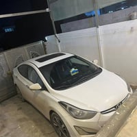 النتر • فول فول • ٢٠١٥