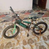 بيسكل • زنجيل • تاير