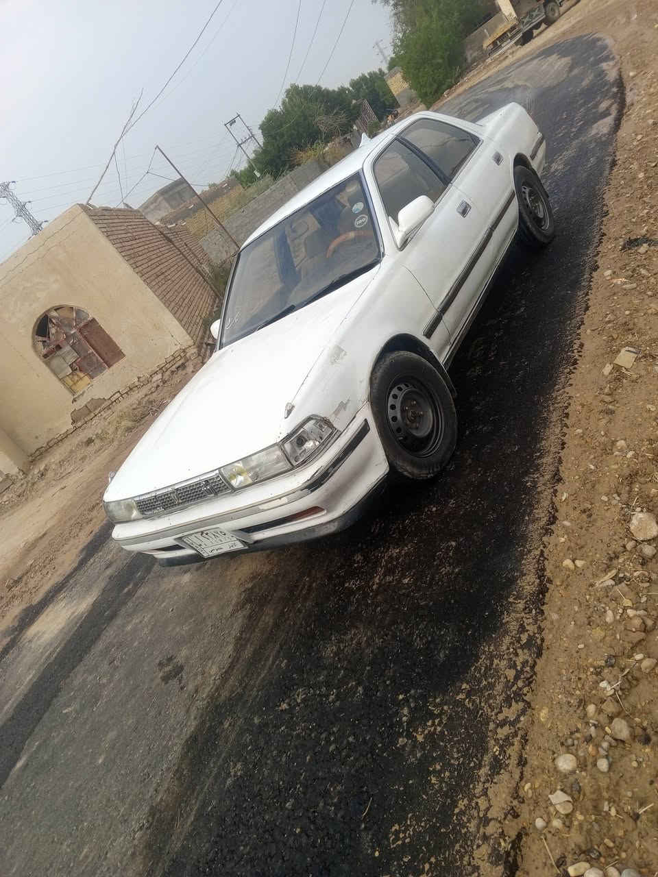 كرسته مسطره مكفوله من الكص من ضربه ولعيب الشرعي .رقم الانبار تحويل موجود راعيهة موجود مكانها الرفاعي ***********
