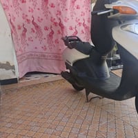 سبيسي • ياباني • كفاله عامه