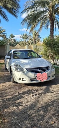 التيما • ٢٠١٠ • رقم بابل