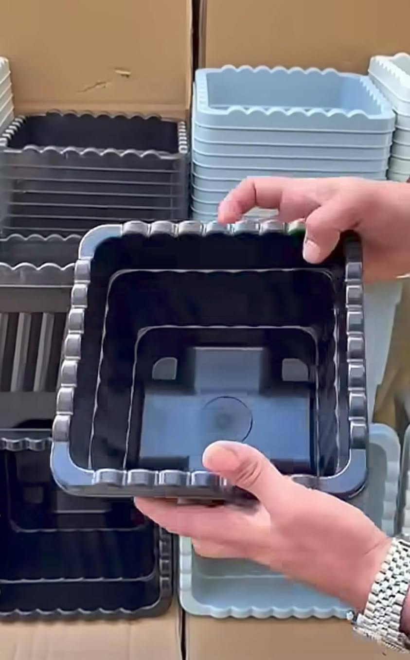 توفرت سنادين بلاستك اصلي قوي لموسم زراعة وتحويل الورود
سعر القطعة الف دينار فقط

تتوفر خدمة توصيل


**إذا كنت صاحب هذا الإعلان وتريد حذفه لأي سبب، رجاءا أرسل رسالة إلى الدعم الفني**