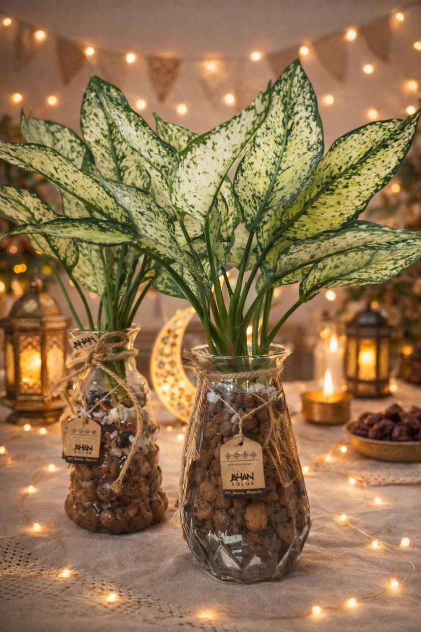 فازة مع النبات طبيعي من اختياركم مع حصى زينه ٨٠٠٠
توصيل بغداد فقط بغداد, العراق


**إذا كنت صاحب هذا الإعلان وتريد حذفه لأي سبب، رجاءا أرسل رسالة إلى الدعم الفني**