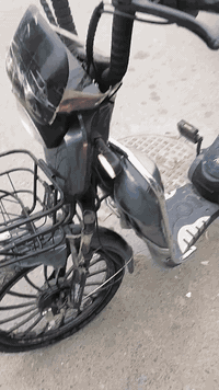 شرط كله شغال نوسه فقط وصفات رياض السعر 100 ***********
