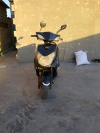 دراجة سكنس فحل للبيع للستفسار التصال 07775760478