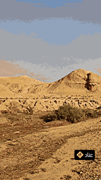 بيع مستعجل نامه تيربو تعمير 2025شاصي 23 دراجه واحد عل واحد سعر لمطلوب700 بيها مجال قليل مكاني جلولاء ***********
