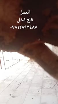 ٠٧٧٤٢٥٠٦٢٣٤ اسيا