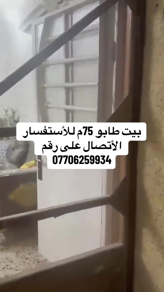 بيت طابو صرف طابقين الطابق الاول استقبال وصاله ومطبخ وصحيات والطابق الثاني غرفتين غرفة نوم كبيرة وغرفة صغيرة وسطح شتايكر السعر ١٤٥ وبي مجال


**إذا كنت صاحب هذا الإعلان وتريد حذفه لأي سبب، رجاءا أرسل رسالة إلى الدعم الفني**