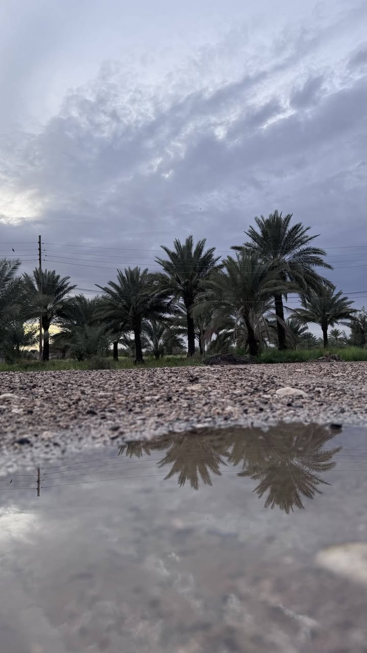 5 دوانم للبيع (سند 24 ومفوض بالطابو)
ضمنهن 2 بيوت بمساحات 400م + 150م
موقعهن على طريق النجف - كربلاء
خلف الحسينيات ، قرب جامعة الزهراوي ، مقابل شركة الجود عمود 1145 

يبعدن عن الشارع العام 500 متر 

خدمات كاملة وتبليط للباب

موقعهن على الخريطة : 👇🏻
https://maps.app.goo.gl/HYvjs7X9apZTtEvs8?g_st=atm

التواصل واتساب فقط : 👇🏻
***********
