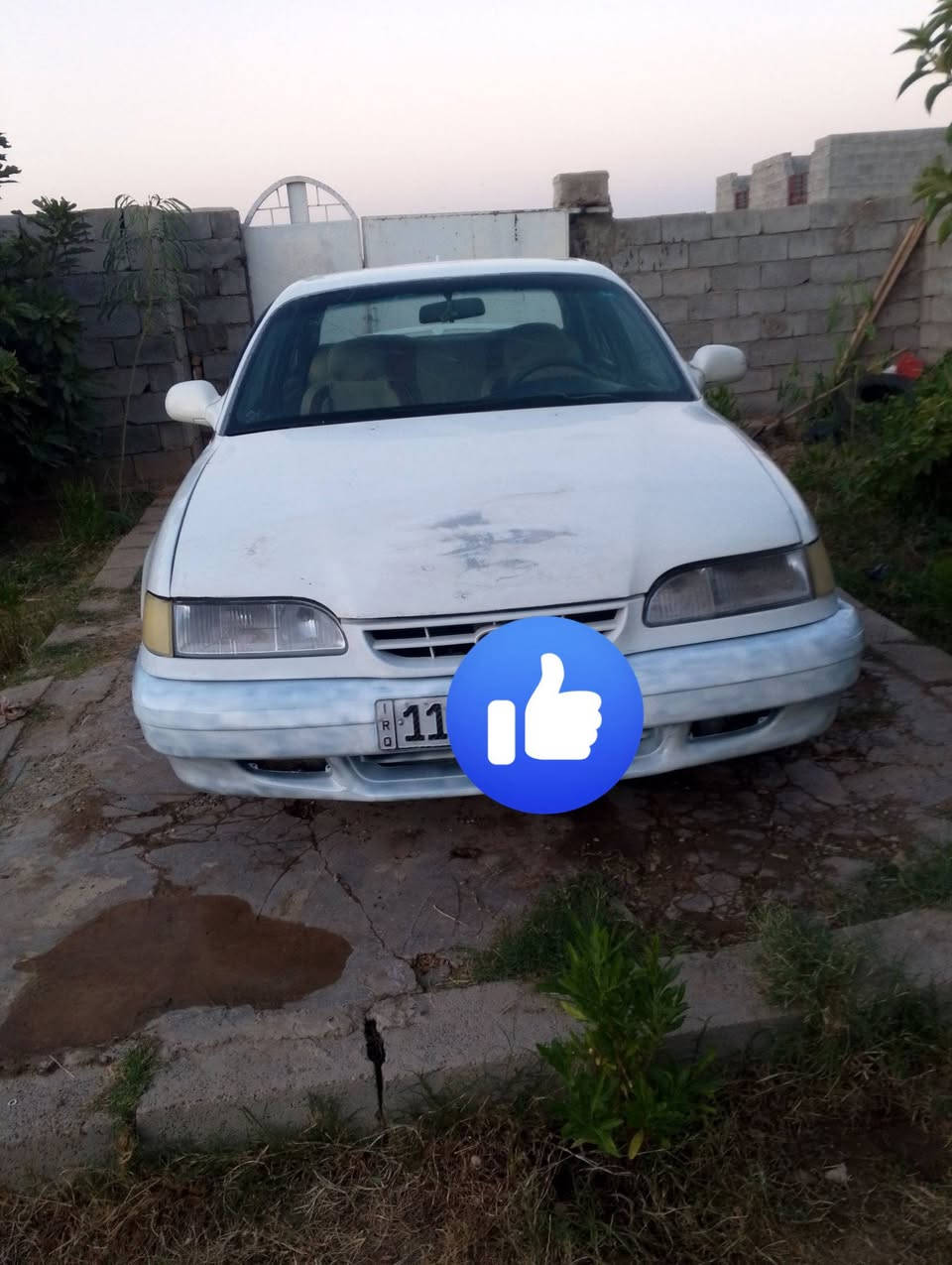 من رخصت الادمن المحترم السلام عليكم ورحمه سوناتا تو موديل ٩٣رقم بغداد انكليزي مكينه وكير بجيس كير اوتو تبريد ثلج تخم تاير جديد صدر جديد كهربائيات كله شغاله كيجات كله شغاله سياره جاهزه مكان الدجيل السعر ٣٧وبي مجال قليل *********** ***********
