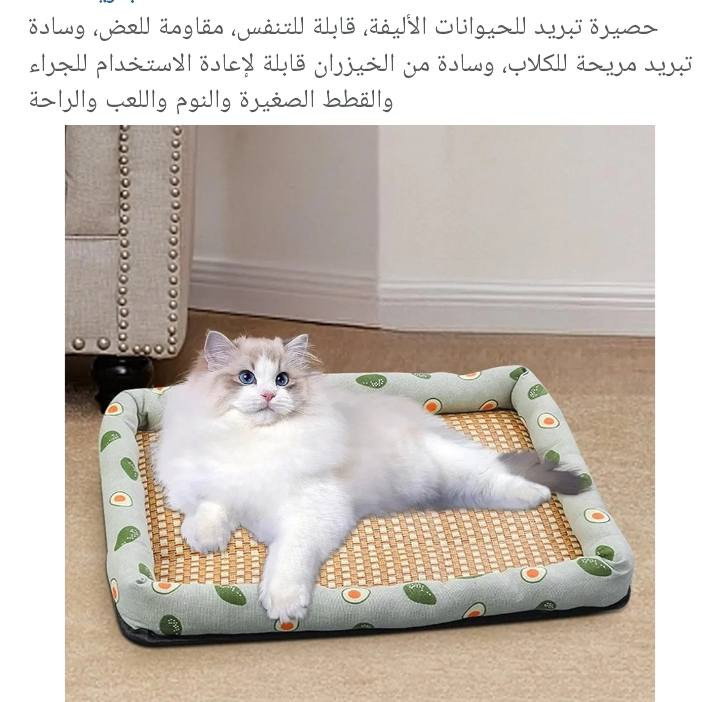 شغلات مال حيوانات تكرمون


**إذا كنت صاحب هذا الإعلان وتريد حذفه لأي سبب، رجاءا أرسل رسالة إلى الدعم الفني**