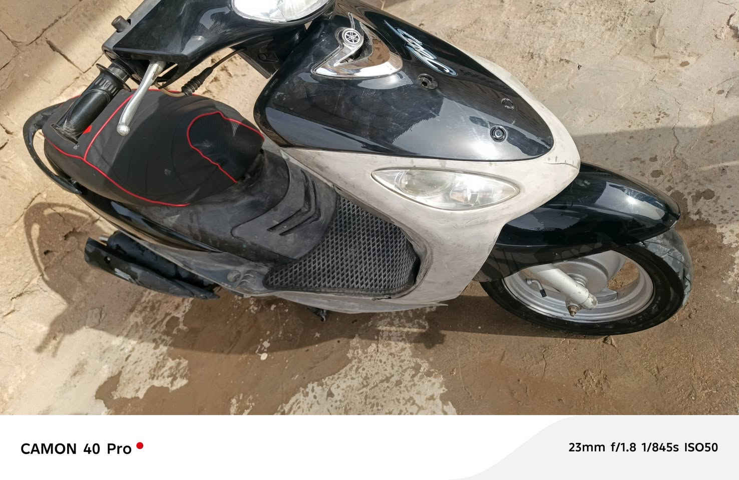 سلام عليكم ماكس البيع مكفوله 49


**إذا كنت صاحب هذا الإعلان وتريد حذفه لأي سبب، رجاءا أرسل رسالة إلى الدعم الفني**