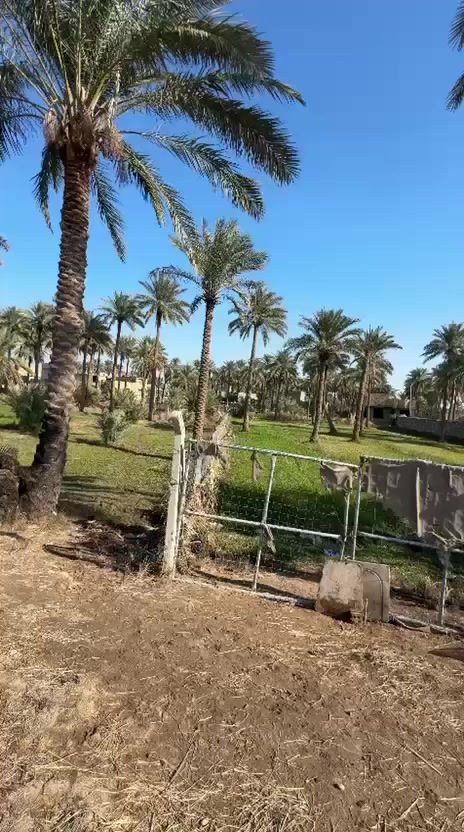 🌾 دونم للبيع – موقع مميز على طريق شريف 🌾
📍 الموقع: على طريق العلوية شريفة (ع ) قرب السيطرة االقديمة 
📐 المساحة: دونم كامل
▫️ الواجهة: 30 متر
💡 تتوفر كافة الخدمات (ماء سقي _ كهرباء _ ماء اسالة )
✨ موقع ممتاز ومناسب لمختلف الاستخدامات الاستثمارية أو السكنية.
📞 للاستفسار والتفاصيل أكثر يرجى الاتصال على الارقام :
***********
***********

🏢 أو زيارة مكتب سجاد سامي للاستثمار العقاري
📍 الحلة – حي الحسين قرب حلويات لبنان
