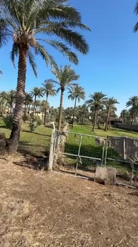 طريق العلوية شريفة • ٢٢٠٠م • خدمات كاملة