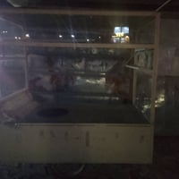 عربانه لبلبي للبيع سعر 200 07843338818