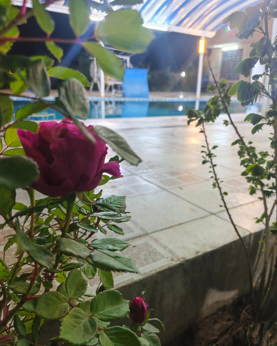 🌿🏡 منتجع يلدا العائلي 🏡🌿
يسرّنا إعلامكم بـ توفر الحجز للشفت الصباحي والشفت المسائي في أجواء عائلية هادئة وممتعة.
✅ مساحات خضراء واسعة
✅ جلسات مريحة للعوائل
✅ أجواء مناسبة للراحة والاستجمام
✅ خصوصية وخدمة مميزة
📅 الحجوزات متاحة الآن 📞 للحجز والاستفسار يرجى التواصل على الرقم: (*********** )
منتجع يلدا العائلي... وجهتكم لقضاء أجمل الأوقات مع العائلة والأصدقاء.
