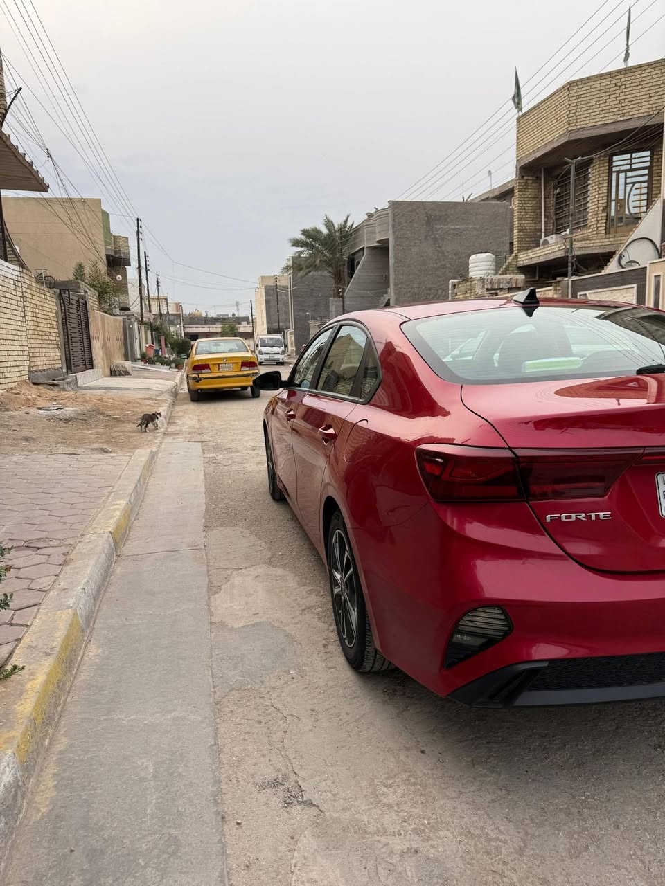 سلام عليكم شباب من رخصة الادمن
كيا فورتي 2022

بدون ايرباك 

محرك : 2000 دوش 

عداد المشي :92الف كيلو متر

مواصفات EX 

1_شاشه 

2_مانع انزلاق 

3_نقط عمياء

4_رادار امامي وخلفي وجانبي 

5_فول حساسات توقف ذاتي 

6_لد امامي مع عدسات زنون

7_كامره خلفية دقه hd 

8_تحكم وضعيات قياده
 
9_فول تحكم ستيرن 

10_فول قيادة ذاتيه مع تحديد مسار 

سياره رقم بغداد بأسمي

حادثها جاملغ وبنيد وبيها ضرر بالجاملغ الخلفي بارد 
السعر 145 وبي مجال
باقي سياره كفاله عامه ع اخير
‏‪***********‬‏
