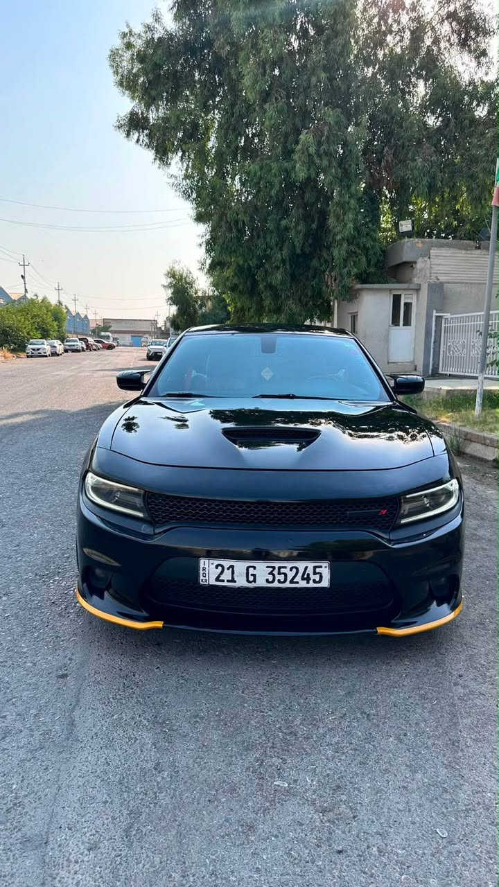 بدون سبوخ شوية بارض و اكو تلقة في امريكا
*********** أربيل, العراق
