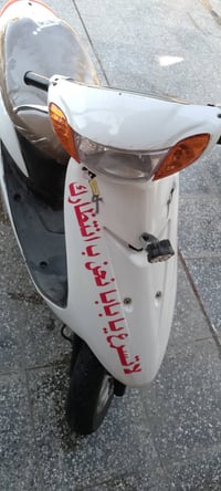 عصفوريه • معمرة • بريكات جدد