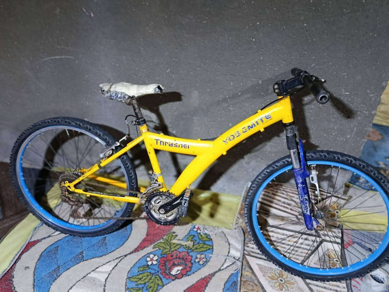 باسكال للبيع السعر ٢٥ العنوان السماوه


**إذا كنت صاحب هذا الإعلان وتريد حذفه لأي سبب، رجاءا أرسل رسالة إلى الدعم الفني**