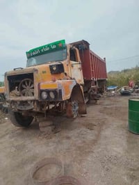 فولفو • تفصيخ • واسط